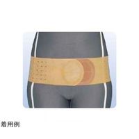 アシスト デラックス骨盤ベルト ブラウン L 01681 1本 68-4060-29（直送品）