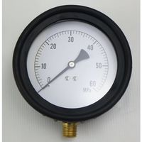 JTC ゲージのみ JTC4818-P 1個 507-3680（直送品）