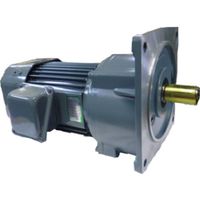 シグマー 高効率IE3、平行軸三相750Wフランジ取付形ブレーキツキギアモーター 減速比1/25 TMFB2-08E-25 1台（直送品）