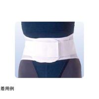 アシスト ウエストサポート(Nパッケージ) M 01667 1本 68-4058-85（直送品）