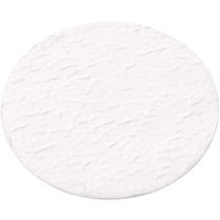 グラスファイバーフィルターディスク プレフィルター バインダーフリー 1.0μm 50mm 滅菌 50個入 230730 1個（直送品）