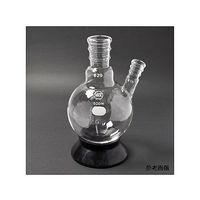 日本理化学器械 二頭フラスコ 白 500mL 中管・側管29/42・15/25 角度15° 041-29500 1個 65-8669-14（直送品）