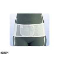 アシスト プロスリム・メッシュ プラスチックステイ 3L 09916 1本 68-4059-13（直送品）