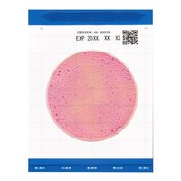 キッコーマンバイオケミファ EasyPlate 腸内細菌科菌群数測定用(25枚/袋×4袋/箱×5箱入) EB 1ケース(1枚)（直送品）