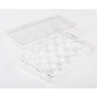 Fisherbrand 細胞培養マルチディッシュ 12ウェル 1枚×100枚入 FB012928 1セット(100枚)（直送品）