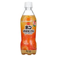 ぽんじゅーす えひめ飲料 POM スパークリング ペット 410mlx24 4908729109171