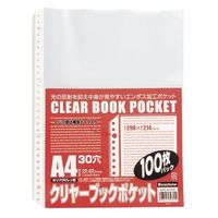 ビュートン クリヤーブックポケットA4ー100枚 CPS-A4-100 1パック