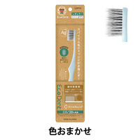 ラピス EcoDent ハブラシ レギュラー ふつう アースカラー 1本