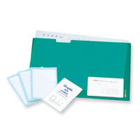 共栄プラスチック 名刺ポケット(4枚入) 白 OP-50-W 1パック