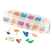 押し花用　PANPASTEL27色29個 押し花用 PANPASTEL27色29個