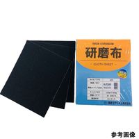 アズワン RHCCS 研磨布 10枚入 3-9015