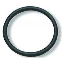 JTC Oリング JTC6013-P 1個 572-3106（直送品）