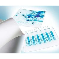 メルク ImmobilonーP PVDF 0.45μm 15x15cm sheet 10/Pk 10PK IPVH15150 1個(10個)（直送品）