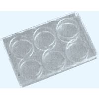 日本理化学器械 ガラスマイクロプレート6穴 ほうけい酸ガラス(JRー1) B-3 1個 65-8686-82（直送品）