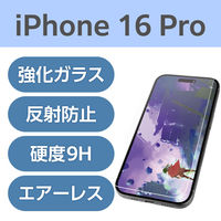 iPhone16 Pro KXtB A`OA ˌy G肳炳 PM-A24CFLGARM GR 1