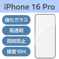 iPhone16 Pro KXtB CXg[t[fUC PM-A24CFLGGRSSV GR 1iij
