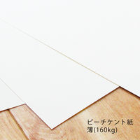 ピーチケント紙 460×370mm 100枚 Amazon.co.jp: ケント紙 ピーチケント ホワイト 100枚組 四つ切