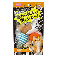 極遊び塾！あれこれバラエティーパック 5個入 1個 マルカン 猫用 おもちゃ