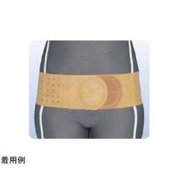 アシスト 丸型骨盤バンド・ハード M 00347 1本 68-4059-68（直送品）