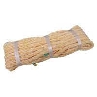 パーマンコーポレーション トラックロープ 10m クレポリ 6440930000 1個（直送品）