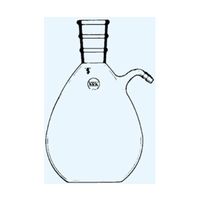 日本理化学器械 濾過フラスコ 摺部29 250mL 043-29250 1個 65-8684-45（直送品）