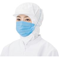 バリアローブ 混入対策ワイドマスクブルー2PLYオーバーヘッドタイプL 100枚入 NO.2832L（直送品）