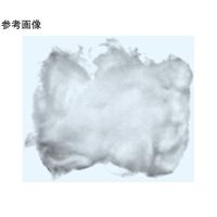 日本理化学器械 ガラスウール 5~8μm 50g入 GRW-05 1個 65-8687-28（直送品）