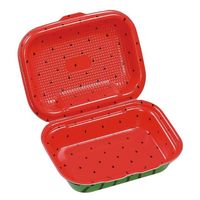 エフピコ 軽食容器 DLVボーノ22-16 スイカ 40020766 1ケース(180個(30個×6)（直送品）