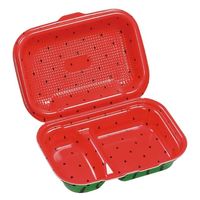 エフピコ 軽食容器 DLVボーノ23-16-1 スイカ 40020786 1ケース(180個(30個×（直送品）