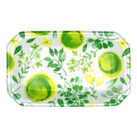 エフピコ 発泡トレー メガプレート25-15(30)平 ブーケ緑 4C662562 1ケース(1000個(100個×10)（直送品）