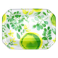 エフピコ 発泡トレー メガプレート20-15(30)平 ブーケ緑 4C992086 1ケース(1200個(100個×12)（直送品）