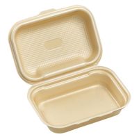 エフピコ 弁当容器 DLVボーノ23-16MFP ベージュ 4M032302 1ケース(180個(30個×6)（直送品）