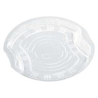 エフピコ APフルーツ 20 中皿(OPS) 76040200 1ケース(1600個(50個×32)（直送品）