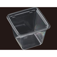 エフピコ サラダ容器 APベジBOX 115-600 本体 7R045227 1ケース(900個(50個×18)（直送品）