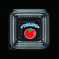 エフピコチューパ VF 一体型