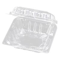 エフピコチューパ フルーツ容器 YTR100.4H フードパック CP007552 1ケース(1500個(100個×15)（直送品）