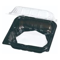 エフピコチューパ フルーツ容器 YTR290.4H BLW CP007574 1ケース(600個(100個×6)（直送品）