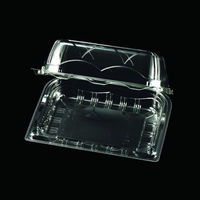 フルーツ容器 NZW エフピコチューパ