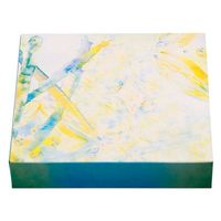 エフピコチューパ 仕出し弁当容器 紙BOX一体型 70-70 清林 CP501450 1ケース(300個(50個×6)（直送品）