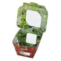 エフピコチューパ フルーツ容器 紙ベジ90角 トマト FMS CP501833 1ケース(600個(50個×12)（直送品）