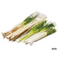 エフピコチューパ 平袋(青果) SB#25 15号 4Hプラ CP785890 1ケース(3000個(100個×30)（直送品）