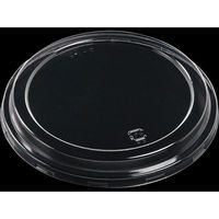 GtsR -153 W SH722569 1P[X(550(25×22)iij