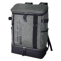 スワン　2層デイリュック　33L　グレー　33055　1個（直送品）