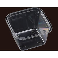 エフピコ サラダ容器 APベジBOX 126-650 本体 7R046425 1袋(50個)（直送品）