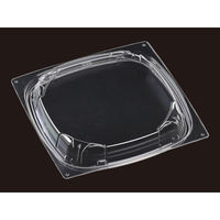 エフピコ T-パステ21-21内嵌合蓋OPS 1F822121 1袋(50個)（直送品）