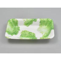 エフピコ 発泡トレー FLB-A12-30 V エコGレタス 4B130126 1ケース(2100個(100個×21)（直送品）