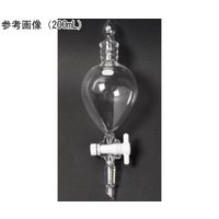 日本理化学器械 分液ロート(PTFE コック)TS上部19 TS下部19 300mL 162-19300 1個 65-8680-20（直送品）