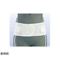 アシスト スーパーAZ 4L 07038 1本 68-4058-47（直送品）