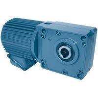 シグマー技研 シグマー 直行中空軸ギアモーター三相100W 減速比1/120 TMH2-01-120 1台 537-4841（直送品）