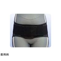 アシスト プロフィット・メッシュ ブラック アルミステイ 3L 15411 1本 68-4058-96（直送品）